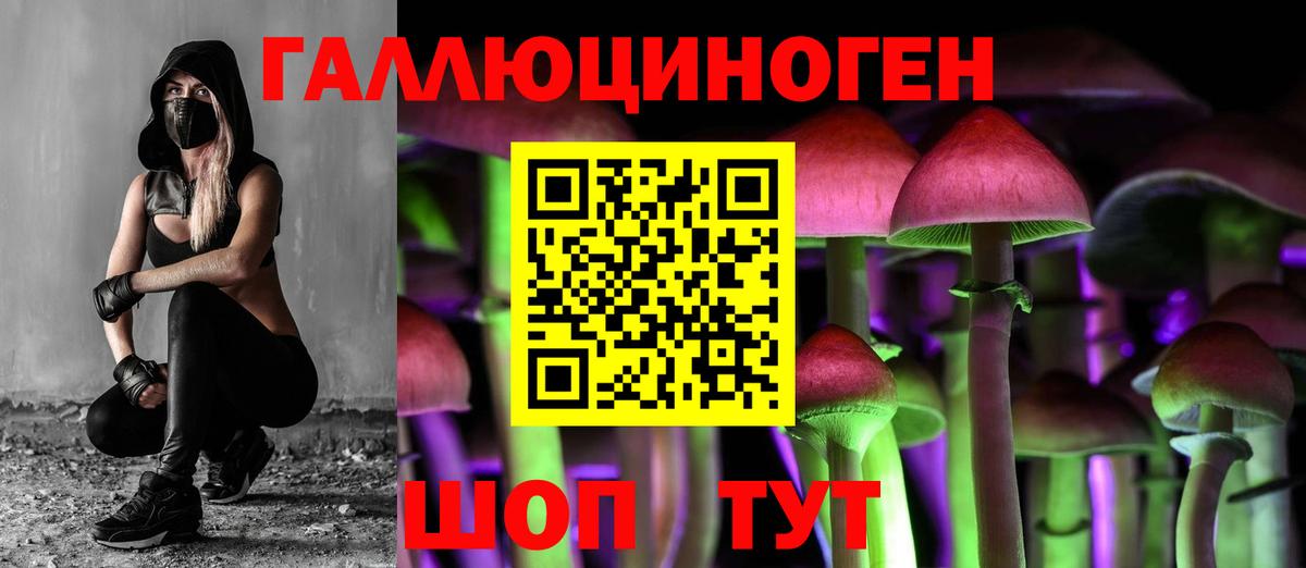 Чехов  Псилоцибиновые грибы мицелий  Галлюциногенные грибы Cubensis  Вход с VPN 